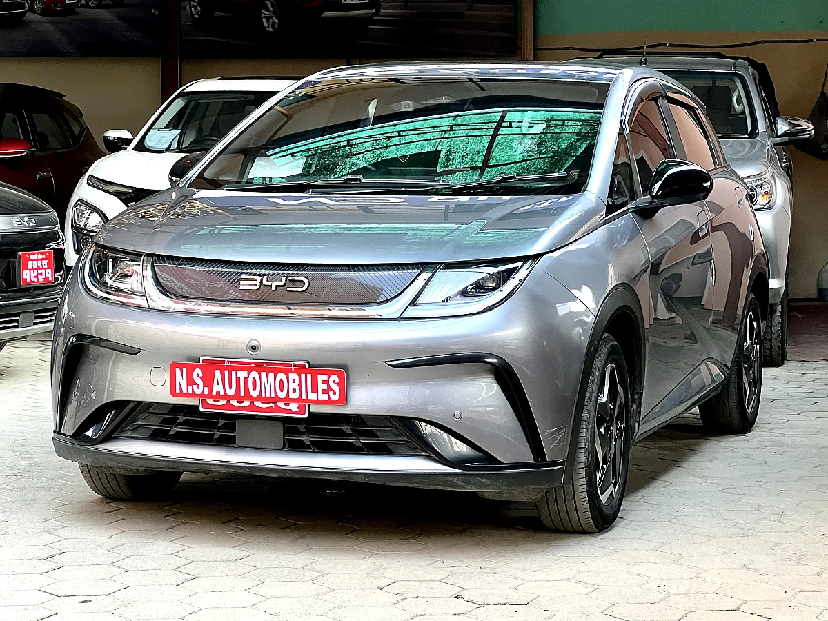 BYD Dolphin