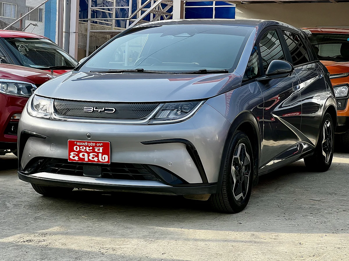 BYD Dolphin