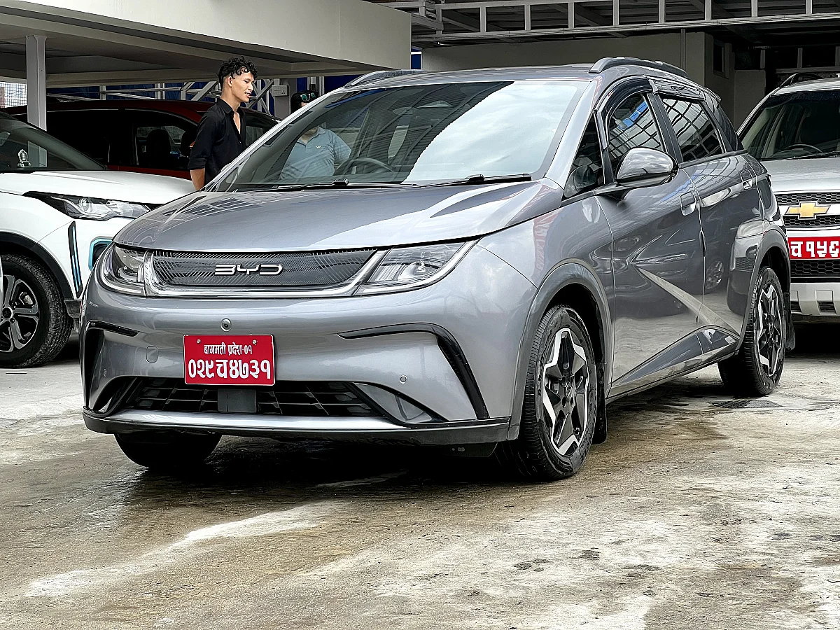 BYD Dolphin