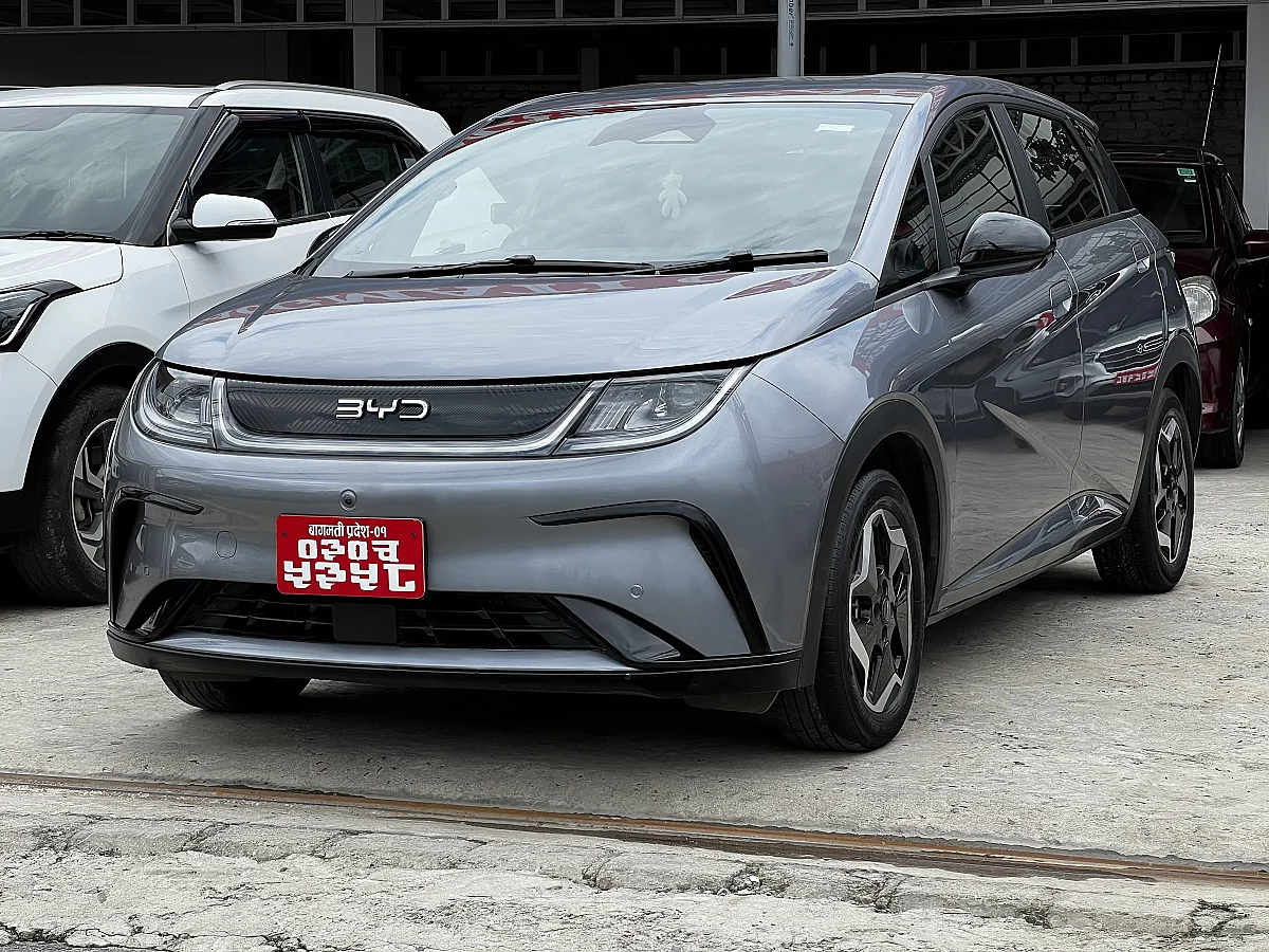 BYD Dolphin