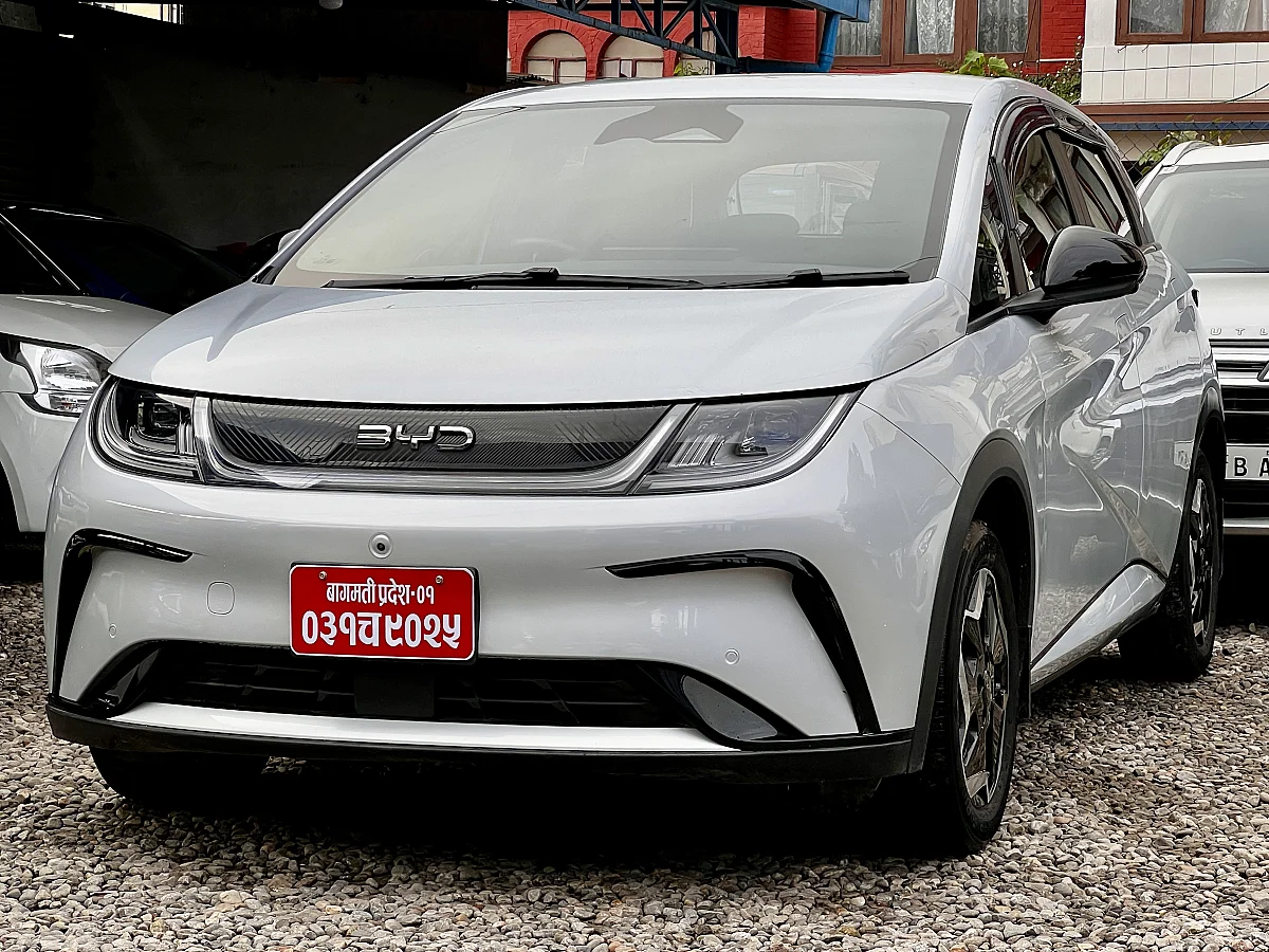 BYD Dolphin